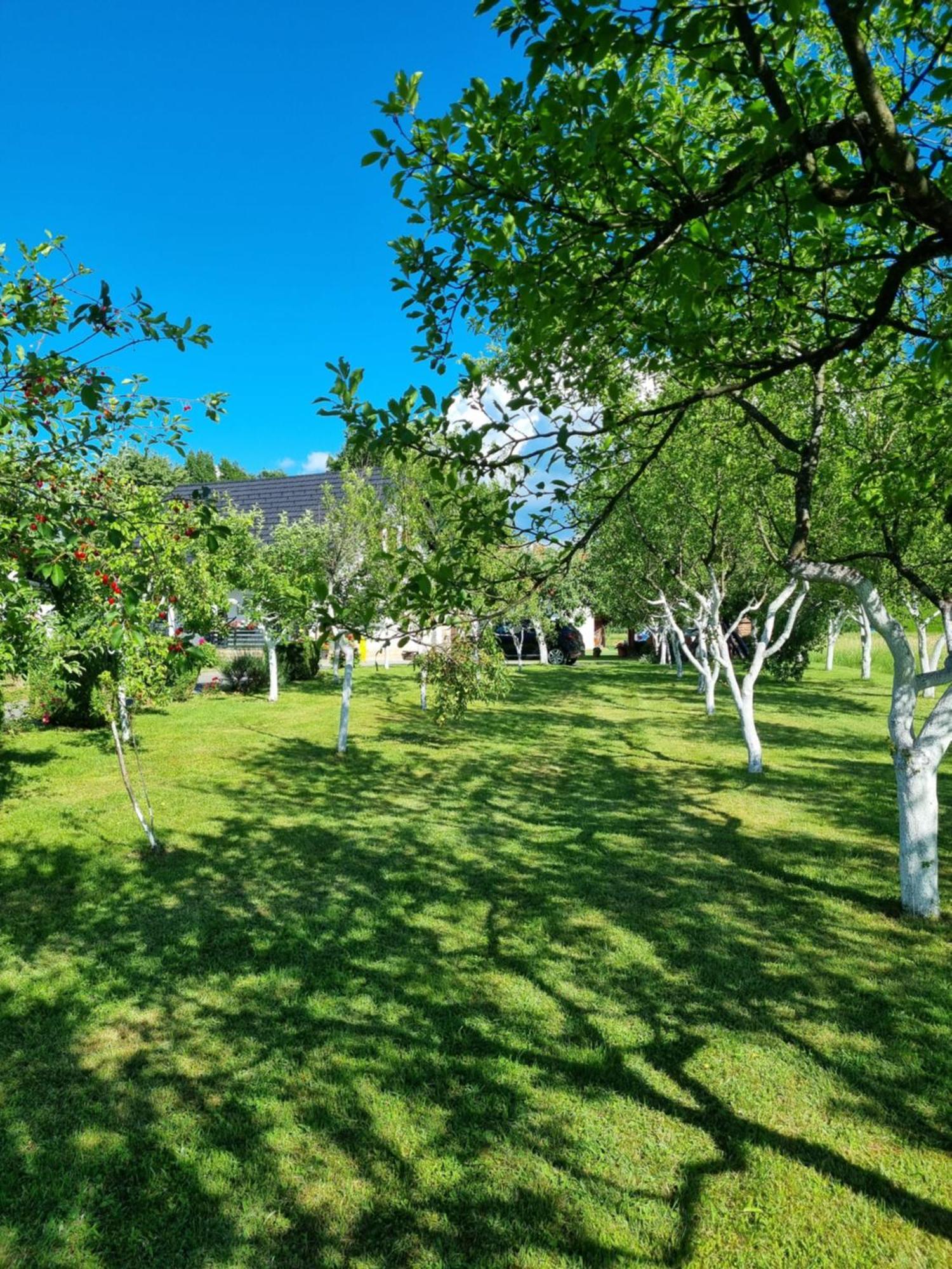 Apartment Rosandic Смолянац Екстериор снимка